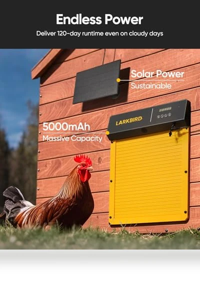 Automatic Chicken Coop Door — Poultry Hydration Solutions, LARKBIRD