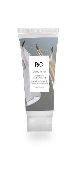 Cool Wind pH Perfect Air Dry Hair Cream — Hair Essentials, R+Co