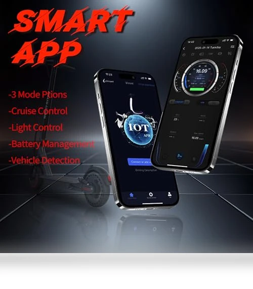 Electric Scooter — Electric Self-Balancing Scooters, WERHY
