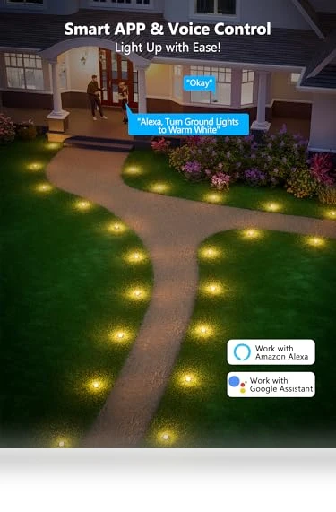 Outdoor Ground Lights — Outdoor Security & Flood Lighting, Brizled