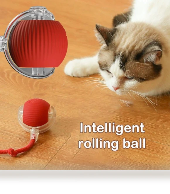 Automatic Electric Rolling Ball Cat Toy — Cat Playthings, Wotypea