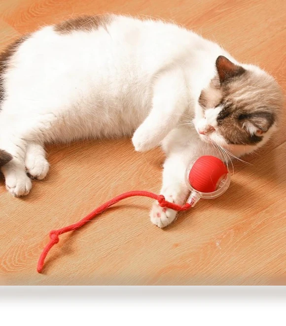 Automatic Electric Rolling Ball — Cat Playthings, Shanylty