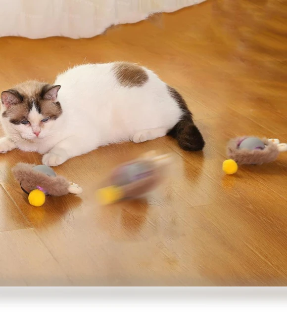 Interactive Cat Toy — Cat Playthings, Family Circle