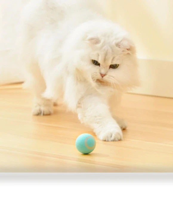 Rechargeable Automatic Rolling Interactive Dodge Ball — Cat Playthings
