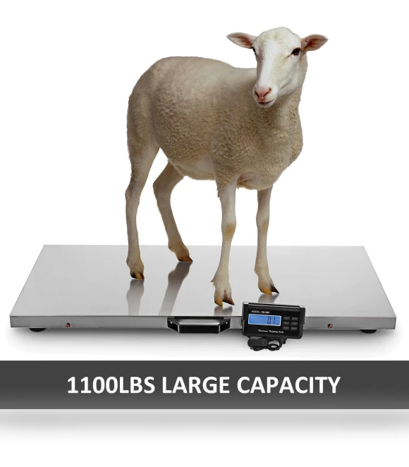 Smart Pet Scales — Baby Scales, Discount Domain