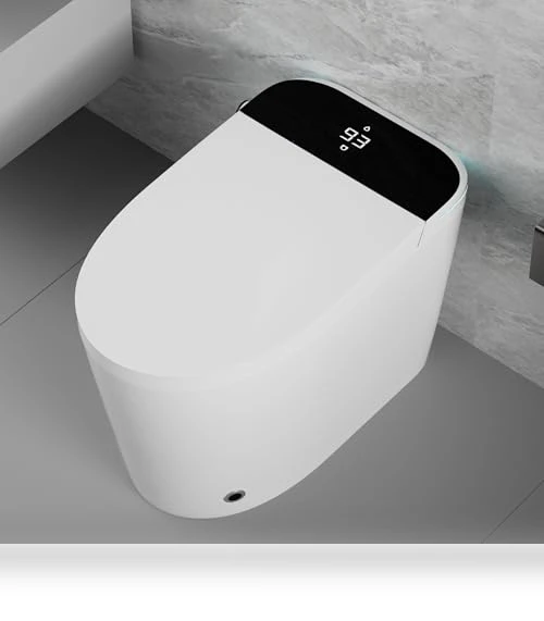 Smart Toilet with Heated Seat and Bidet — Bathroom Essentials, WinZo