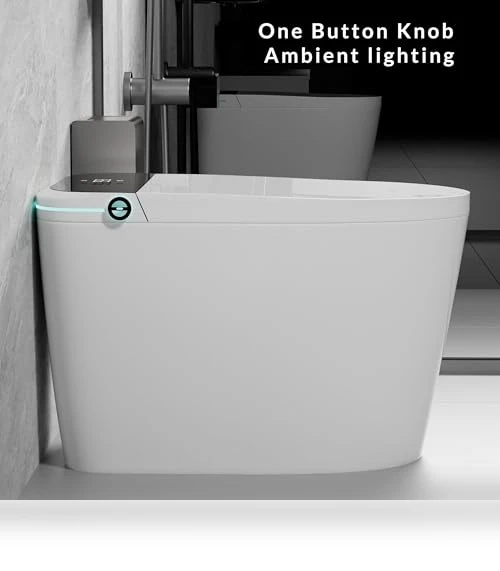 Smart Toilet with Heated Seat and Bidet — Bathroom Essentials, WinZo