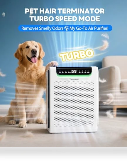Large Room Air Purifier — Activated Carbon Air Purifiers