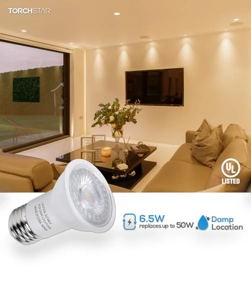 PAR16 LED Bulb — Incandescent, TORCHSTAR