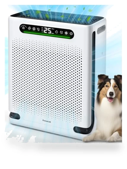 Large Room Air Purifier — Activated Carbon Air Purifiers, XenonLab