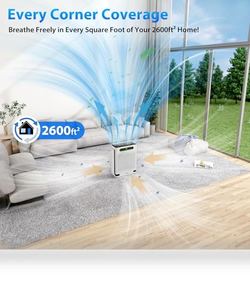 Large Room Air Purifier — Activated Carbon Air Purifiers, XenonLab