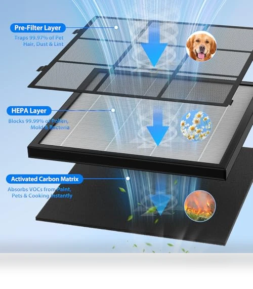 Large Room Air Purifier — Activated Carbon Air Purifiers, XenonLab