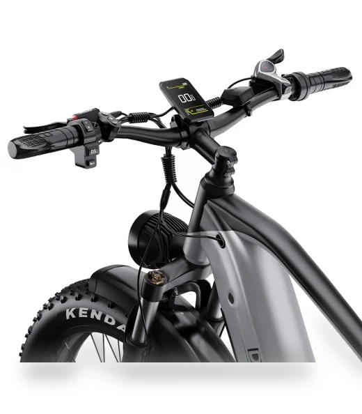 Fat Tire Electric Bike — Electric Vehicles, DUOTTS