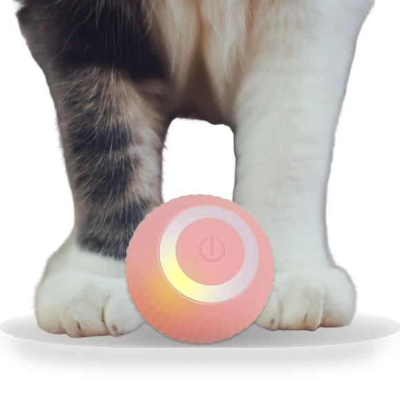 Smart Rolling Ball for Cats — Balls, Refreshing Home