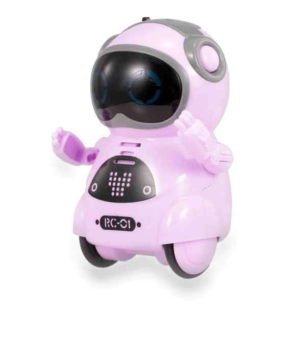 Pocket Robot — Interactive Animal Companions, Build My Home