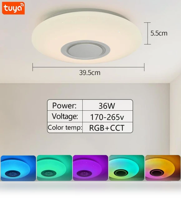 Smart LED Ceiling Light with Bluetooth Speaker — Overhead Lighting, Rainbow Rain
