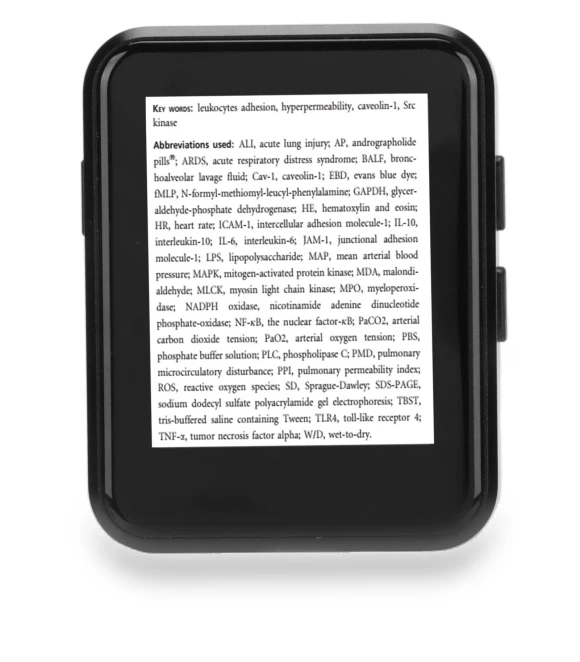 1.8-inch Touch Screen MP3 MP4 Player — Portable Media Players, Honor Electronics