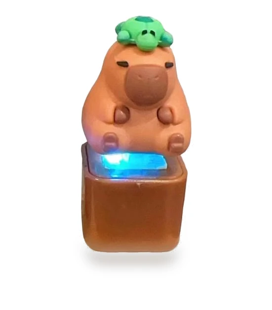 Capybara Fidget Keychain Keyboard — Stress Relievers, Caracce