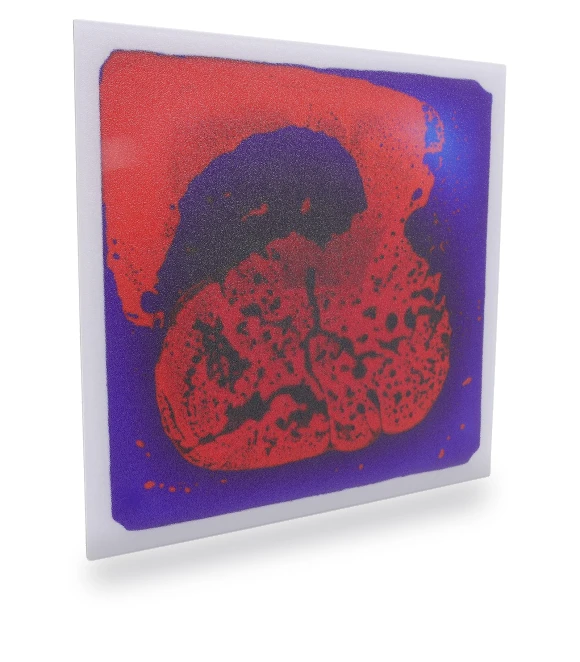 Liquid Sensory Floor Tile — Infant & Early Childhood Playthings, OutsideWorld