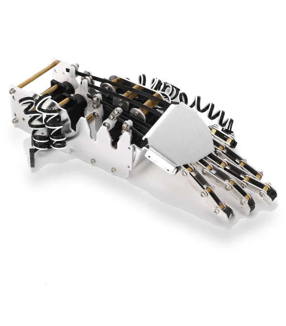 Robotic Hand Kit — Robotic Enhancements, Health & Beauty PRODUCT