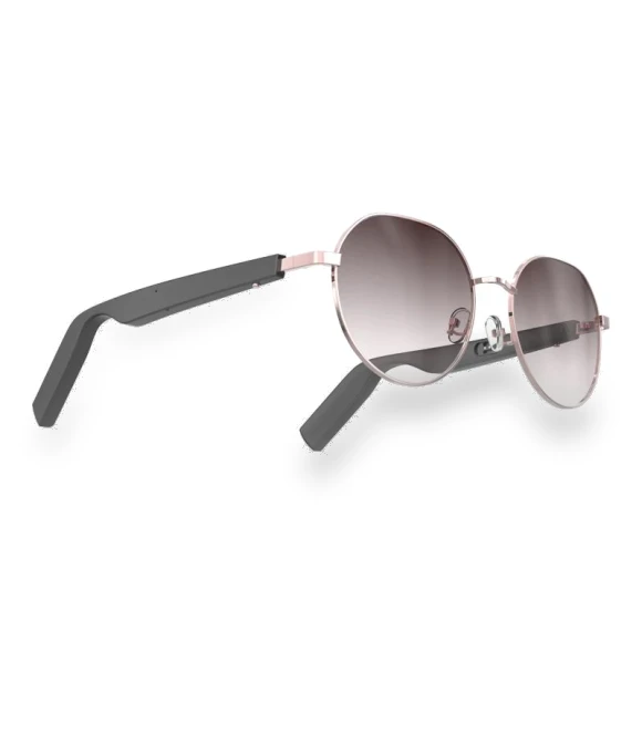Smart Sunglasses — Smart Glasses, Pig Boutique