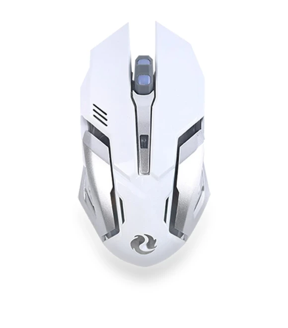 Rechargeable Silent Gaming Mouse with Dual Mode Lighting — Mouse Pads, TTikTok