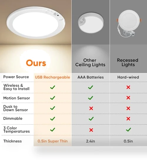 Motion Sensor Ceiling Light — Overhead Lighting, Bairth