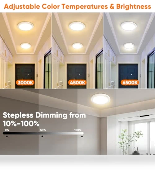 Motion Sensor Ceiling Light — Overhead Lighting, Bairth