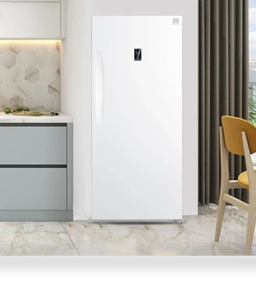 Convertible Upright Freezer/Refrigerator — Mini Fridges, Kenmore