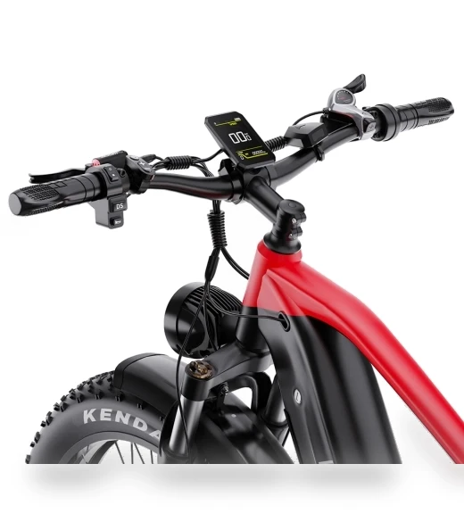 26*4.0 Inch Fat Tire Electric Bike — Electric Self-Balancing Scooters, DUOTTS