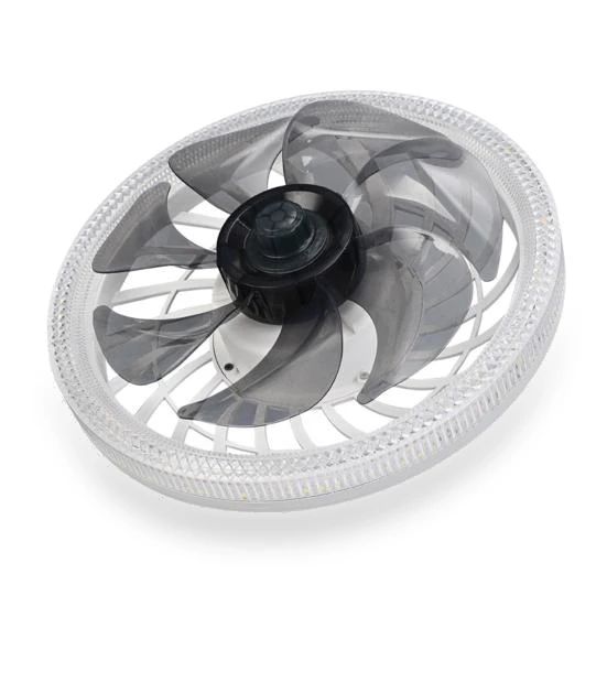 Smart Silent Ceiling Fan 2-in-1 — Ceiling Fans, dooob