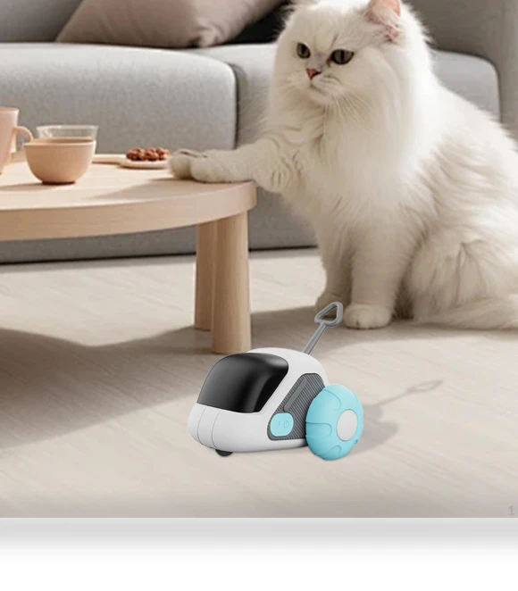 Automatic Cat Toy with Rechargeable Function and Remote Control — Cat Playthings, Fashion Jelewery