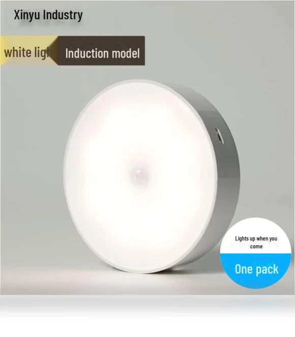 LED Night Light with Voice Control and Motion Sensor — Night Lights, AI Supermarket