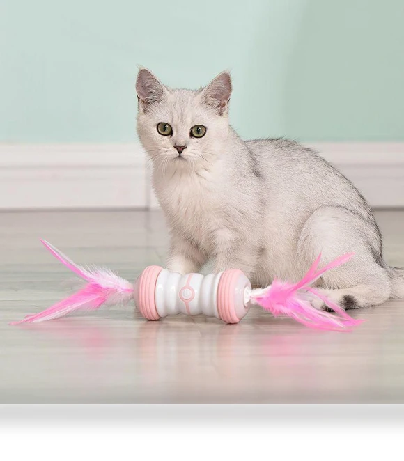 Electric Fun Toy for Cats — Cat Playthings, Smart Pet Supplies