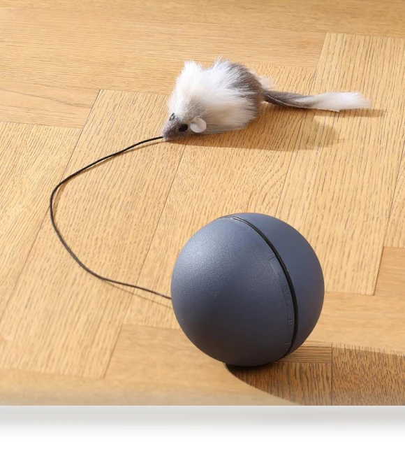 Interactive Cat Ball — Cat Playthings, Smart Pet Supplies