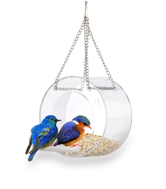 Smart Bird Feeder with Transparent Window and Wi-Fi Camera Suction — Backyard Birding, Automobile and motorcycle supplies