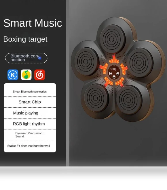 Smart Boxing Trainer — Boxing Training Gear, Binchi Outdoor Equipment