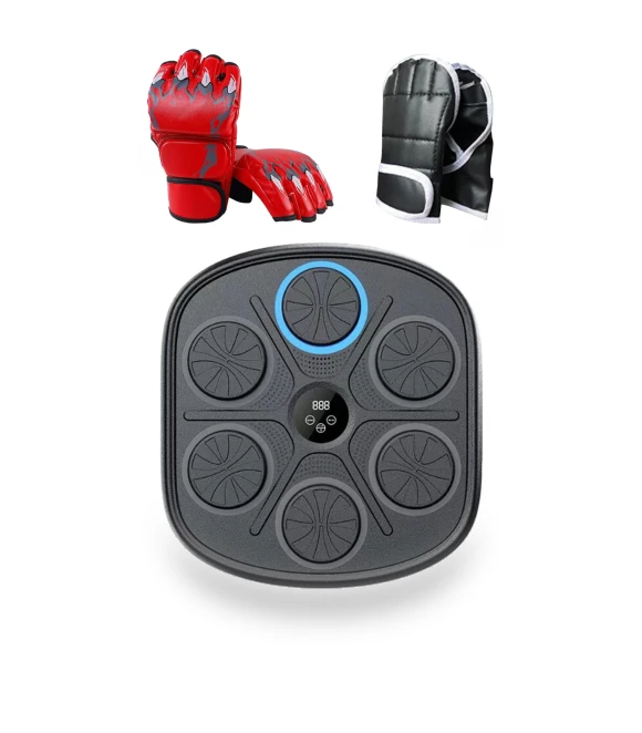 Smart Boxing Trainer — Boxing Training Gear, Binchi Keji Travel