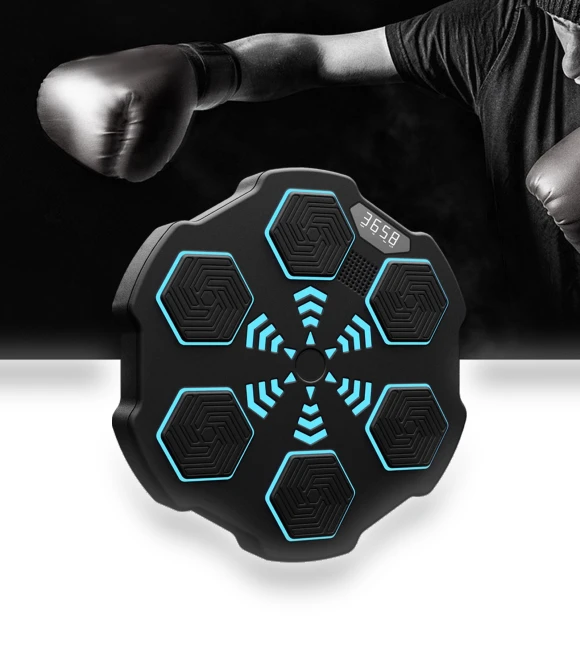 Smart Electronic Wall Target for Strength Games — Boxing Training Gear, Binchi Keji Travel