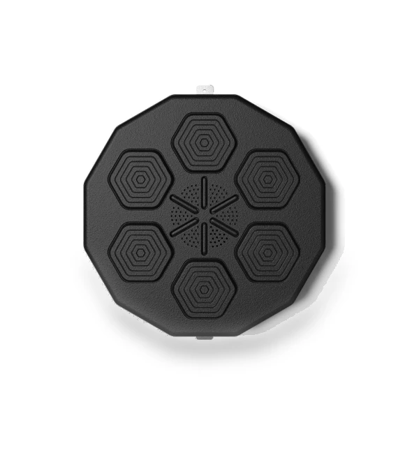 Smart Electronic Wall Target — Boxing Training Gear, Binchi Keji Travel
