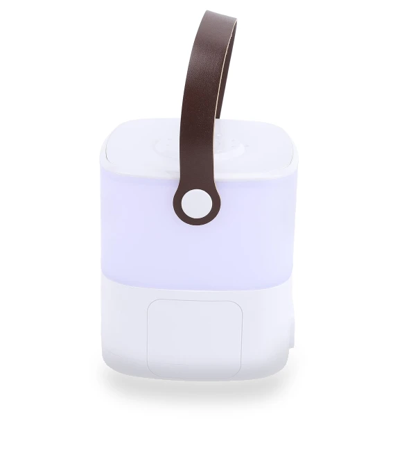 Adjustable Touch Lamp with Handle — Standing Lights, Koogeelife