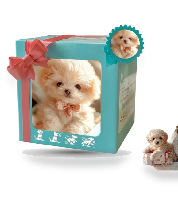 AI Emotional Recognition Robotic Pet Puppy — Cameras & Monitors, hayatospeed