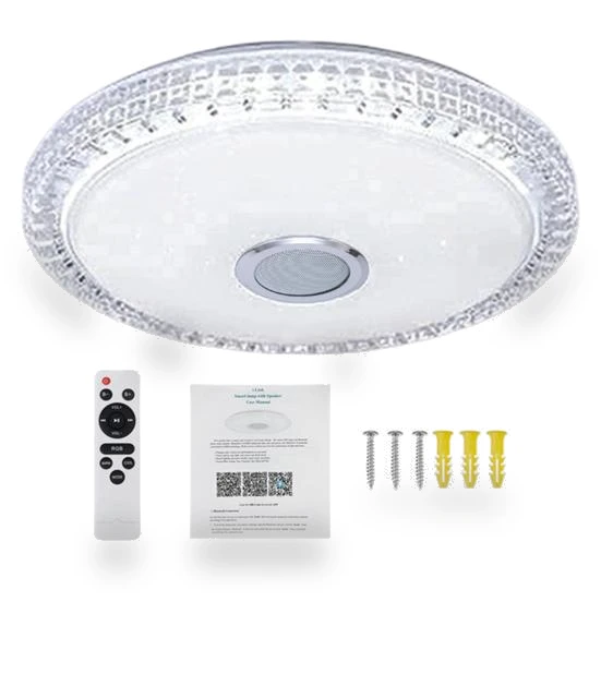 Smart Ceiling Light — Overhead Lighting, Pleasure Holiday