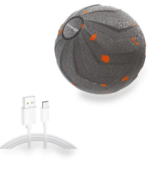 Rechargeable Smart Dog Toy Ball — Balls, Naituo