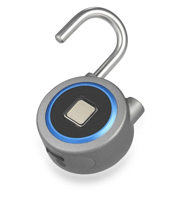 Smart Fingerprint Lock — Smart Home Security, Igeteck