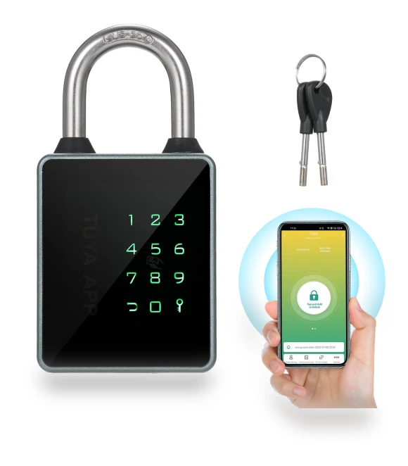 Smart Lock with Keypad — Padlocks & Hasps, Meterk
