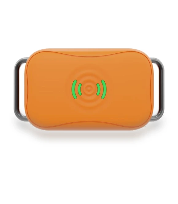 Smart GPS 4G Pet Collar — Trackers, RW-MARTKE