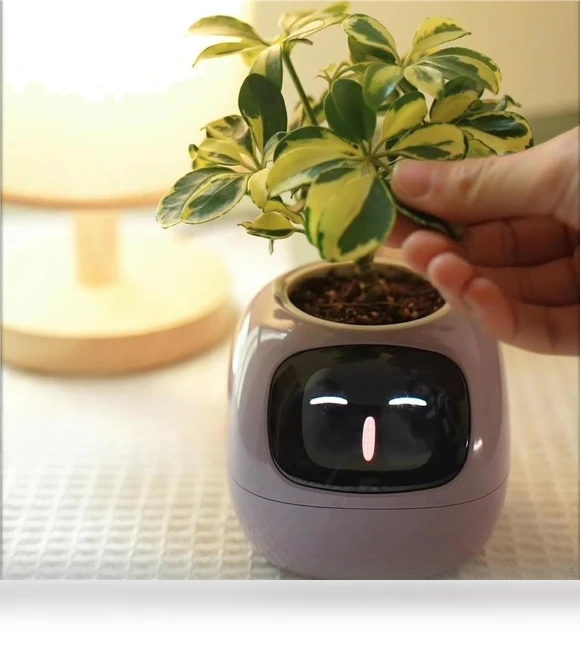 Smart Pet Pot — Nursery Pots, HappyToy