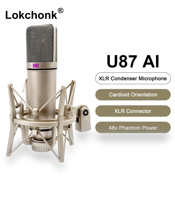Professional Cardioid Condenser Microphone — Condenser, ZPG