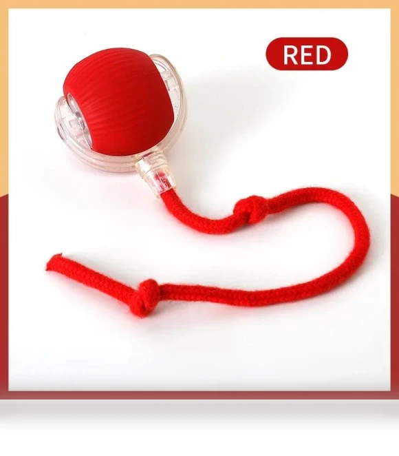 Interactive Ball for Cats — Cat Playthings, Happy6